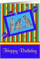 66th Birthday, adorable raccoons in a cute blue frame with balloons card