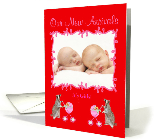 Twin Birth Announcement Photo Card, Girls card (940652)