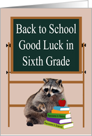 Back to School in the Sixth Grade Card with a Raccoon and Books card