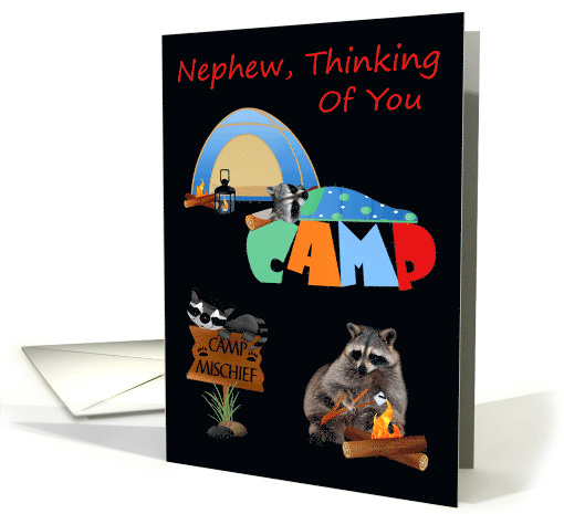 Thinking Of You Nephew At Summer Camp with Raccoons Camping card