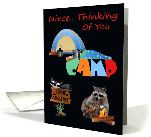 Thinking Of You Niece at Summer Camp with Raccoons Camping card