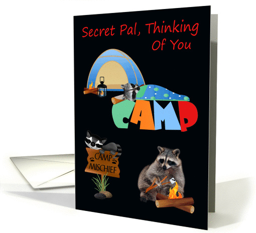 Thinking Of You, Secret Pal, At Summer Camp, raccoons... (942460)