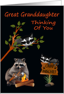 Thinking Of You Great Granddaughter At Summer Camp, raccoon card