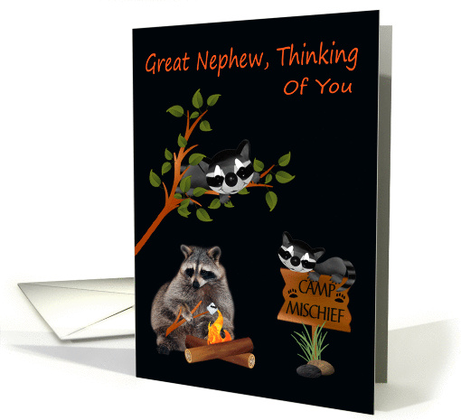 Thinking Of You, Great Nephew, At Summer Camp, raccoon... (942841)