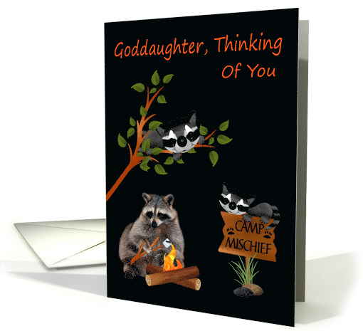 Thinking Of You Goddaughter At Summer Camp with Raccoons card (942849)