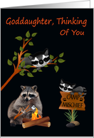 Thinking Of You Goddaughter At Summer Camp with Raccoons card