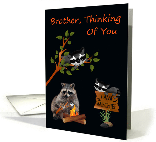 Thinking Of You, Brother, At Summer Camp, raccoon with bonfire card