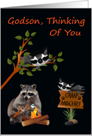 Thinking Of You Godson At Summer Camp with Raccoons and Bonfire card