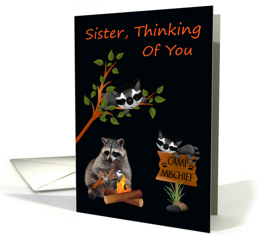 Thinking Of You, Sister, At Summer Camp, raccoon toasting... (942855)