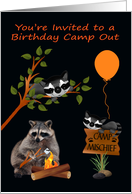 Invitations, Birthday Camp Out, general, Raccoon toasting marshmallow card