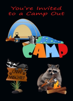 Invitations, Camp Out, general, Raccoons camping under night sky