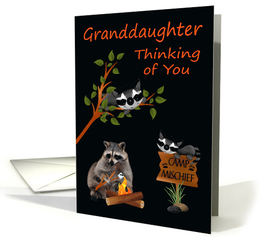 Thinking Of You Granddaughter At Summer Camp with Raccoons card