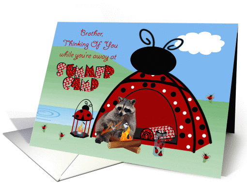 Thinking Of You, Brother, At Summer Camp, raccoon camping,... (943677)