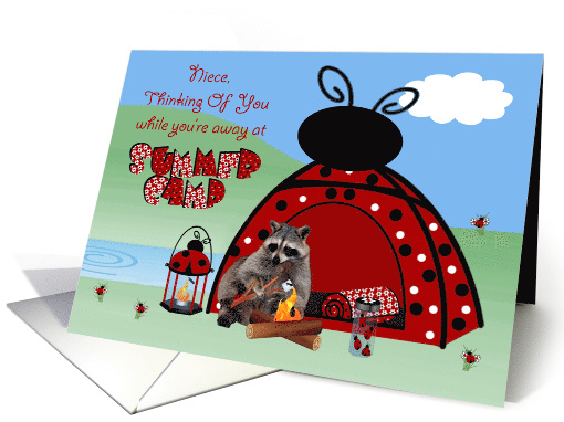 Thinking Of You Niece while your Away at Summer Camp with... (943679)