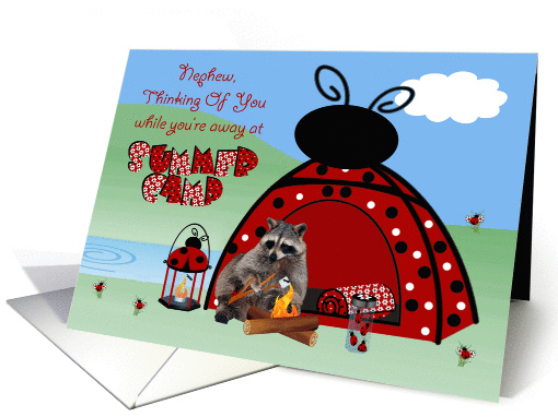 Thinking Of You, Nephew, At Summer Camp, raccoon camping, bonfire card