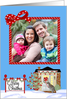 Christmas Photo Card, general, Raccoon eating a candy cane card