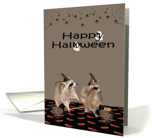 Halloween, general, Raccoon Warlocks with brooms, ghosts, spiders card