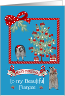 Christmas to Fiancee, Adorabe raccoons in a Christmas Scene card