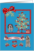 Christmas, general, Raccoons in a cute Christmas Scene on blue card