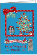 Christmas to Parents, adorable raccoons In Christmas Scene, tree card