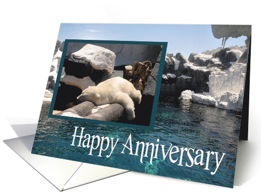 Anniversary to spouse, love, romance, polar bear sleeping... (950494)