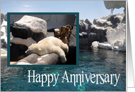 Anniversary to spouse, love, romance, polar bear sleeping on a log card
