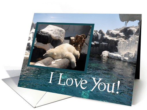 Love, Romance, general, polar bear relaxing on a log with... (950496)