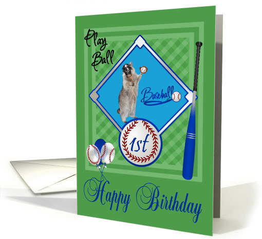 1st Birthday, raccoon playing baseball in catcher's mask on green card