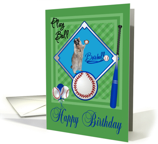 Birthday, general, raccoon playing baseball in catcher's... (950499)