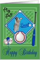Birthday, general, raccoon playing baseball in catcher’s mask, blue card