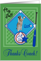Thank You To Baseball Coach, raccoon wearing catcher’s mask, blue card