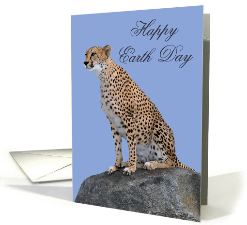 Earth Day, general, Cheetah Sitting On Rock against... (951016)