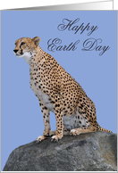 Earth Day, general, Cheetah Sitting On Rock against beautiful blue sky card