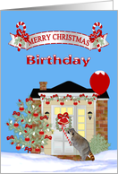 Birthday on Christmas, Raccoon eating a candy cane with balloon card