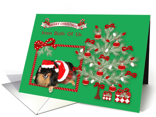 Christmas from Both Of Us, Pomeranian wearing Mrs. Santa... (954893)