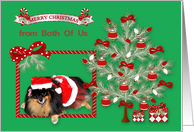 Christmas from Both Of Us, Pomeranian wearing Mrs. Santa Claus Suit card