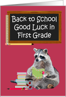Back to School, First Grade, Raccoon holding a book, lady bugs card