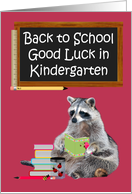 Back to School, Kindergarten, Raccoon holding a book, ladybugs card