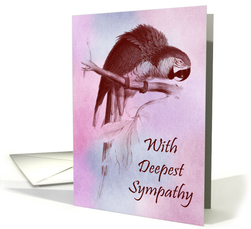 Sympathy For Loss Of Parrot with a Beautiful Bird Perched... (964189)