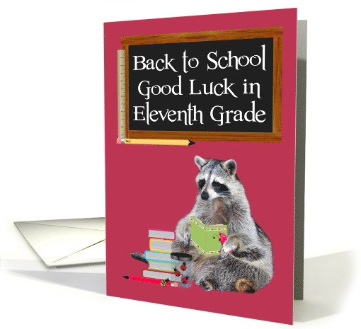 Back to School in Eleventh Grade, An adorable raccoon... (965301)