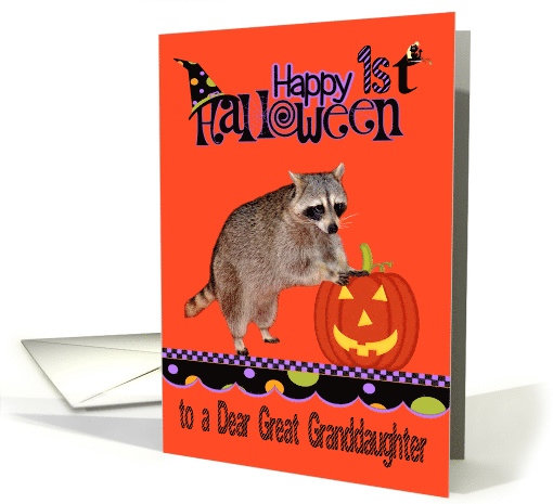 First Halloween to Great Granddaughter, Raccoon with... (966331)