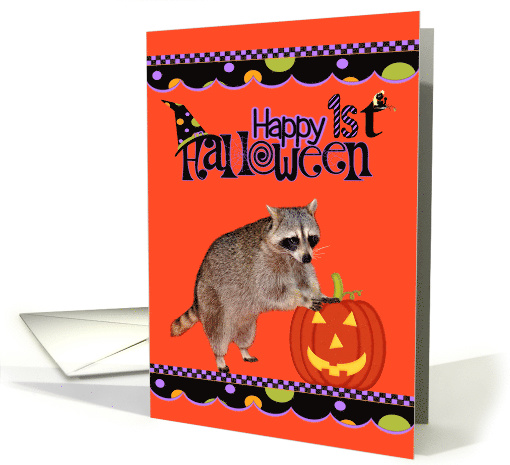 First Halloween with an Adorable Raccoon Leaning on a... (966335)