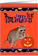 First Halloween with an Adorable Raccoon Leaning on a Jack-o-lantern card