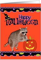 Halloween, general, Raccoon leaning on jack-o-lantern, orange, black card