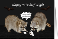 Mischief Night, general, October 30, Raccoons with egg, toilet paper card