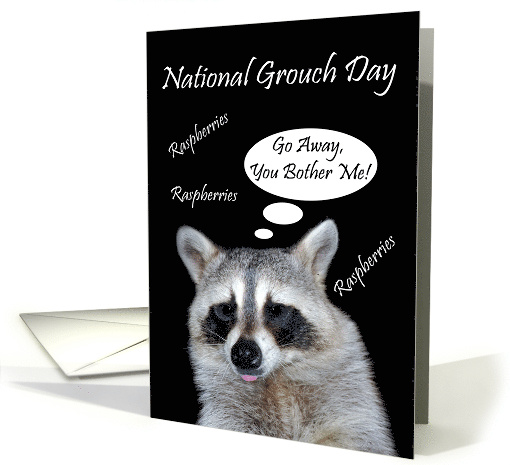 National Grouch Day, general, Raccoon giving a raspberry on black card