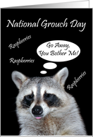 National Grouch Day, general, Raccoon giving a raspberry on black card