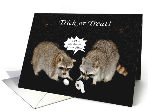 Halloween, general, Raccoons Having Fun with toilet paper... (969729)