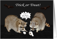 Halloween, general, Raccoons Having Fun with toilet paper and an egg card