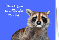Thank You to Dentist with a Raccoon Smiling Showing His Pearly Whites card